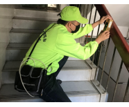 檢測白蟻